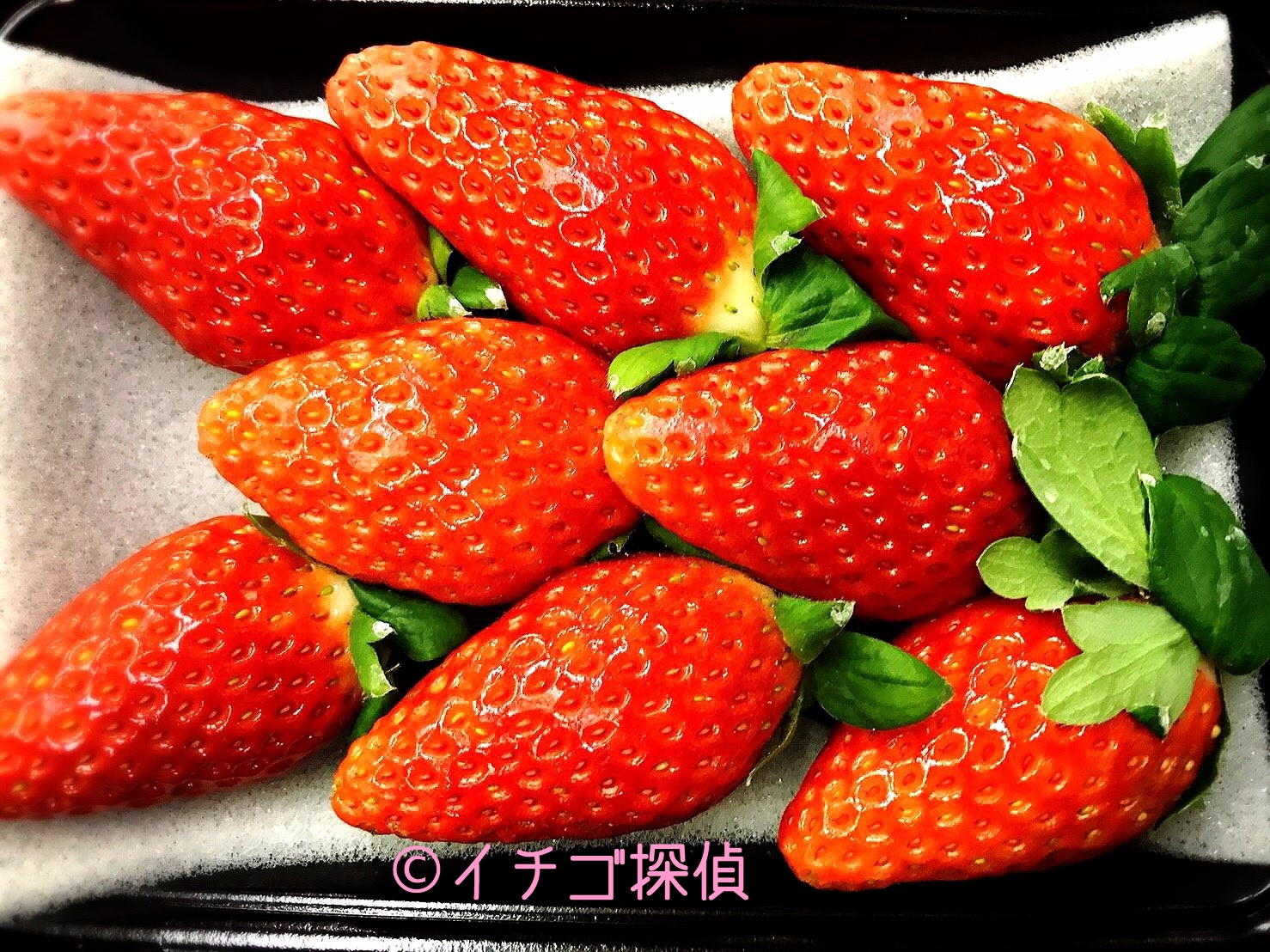 イチゴ探偵｜九州苺食べ比べ【ゆふおとめ】【ゆうべに】【こはる】【桃の香】を大分で購入！