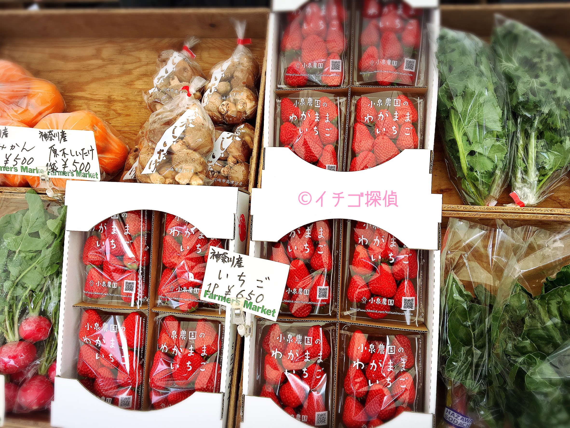 イチゴ探偵｜ファーマーズマーケットで【わがままいちご】と【いちごっ子】をGET！ブランドいちごを食べ比べ！