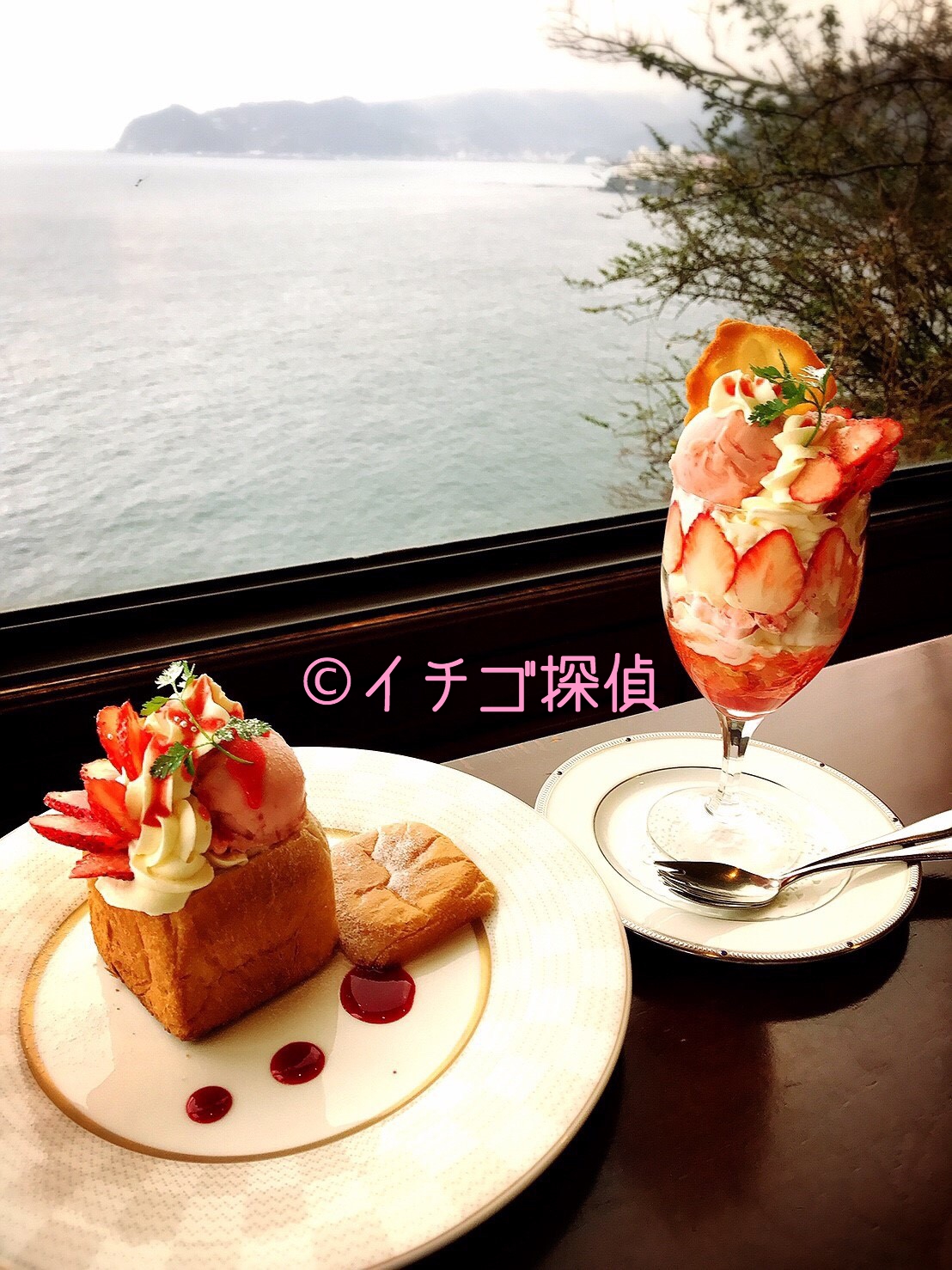 イチゴ探偵｜伊豆一の絶景カフェ「花の妖精」でイチゴの小箱パフェ！海を眺めながらの苺スイーツフェア！
