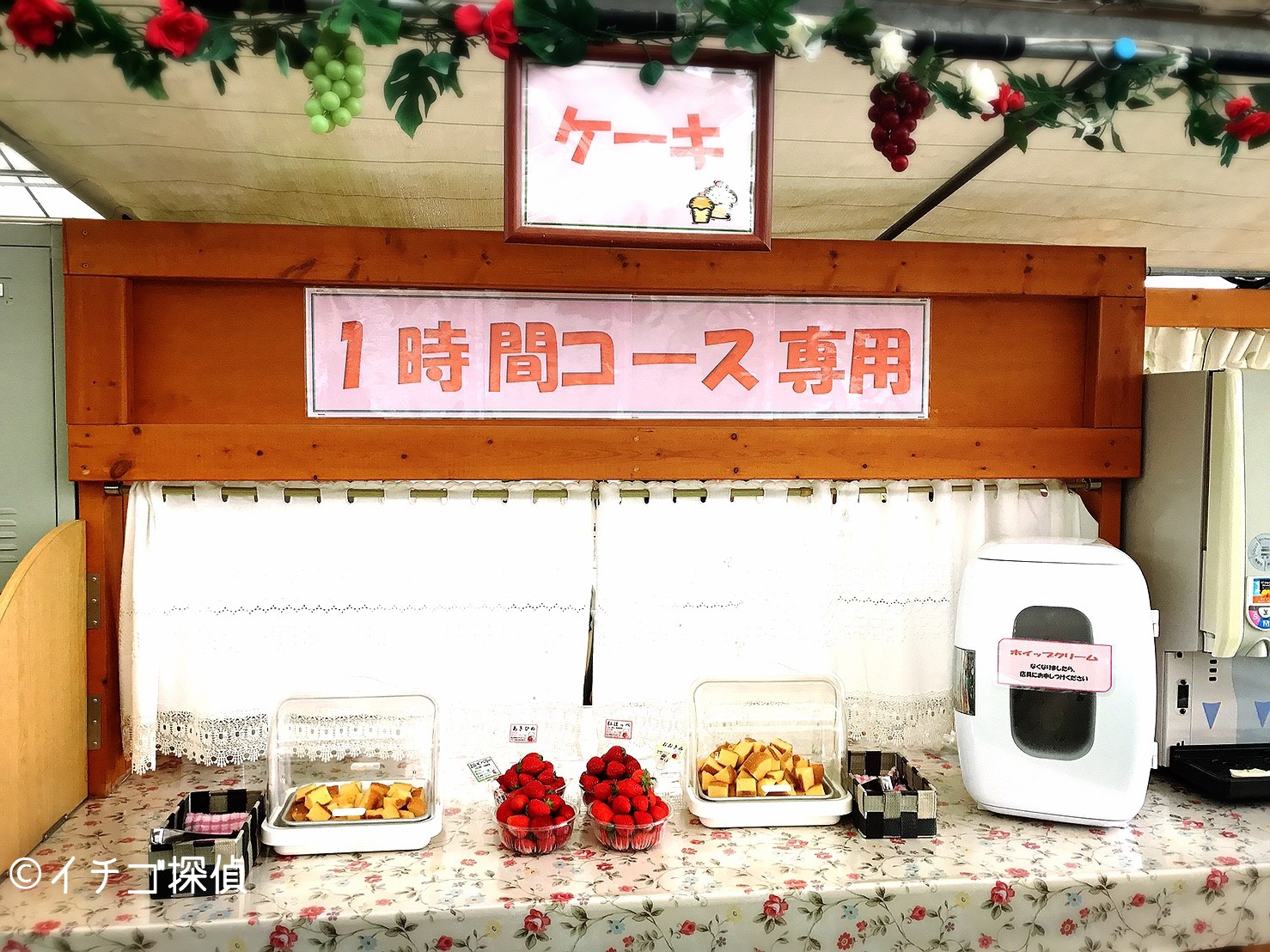イチゴ探偵｜いちご狩りに4種苺のケーキ作り！嶋村屋 熊谷いちご園の1時間コースでバウムクーヘン入りのオリジナルケーキを作ろう！