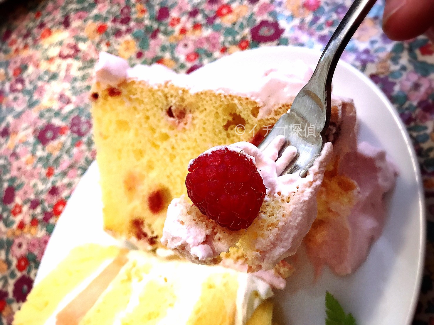 イチゴ探偵｜池袋のシフォンケーキ専門店「ラ・ファミーユ」でもものケーキとキュートなピンクのフランボワーズシフォン！