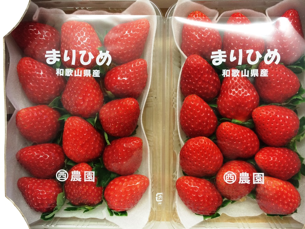 和歌山県のオリジナルいちご【まりひめ】の出荷スタート！栽培面積が過去最大に！