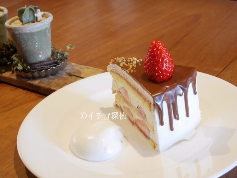 イチゴ探偵｜伊豆の古民家カフェ「irodori」でストロベリーショートケーキチョコレートがけを堪能！