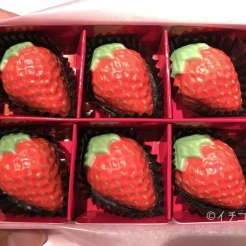 イチゴ探偵｜リアルな苺型チョコを実食！ANAインターコンチネンタル東京「ピエール・ガニェール パン・エ・ガトー」