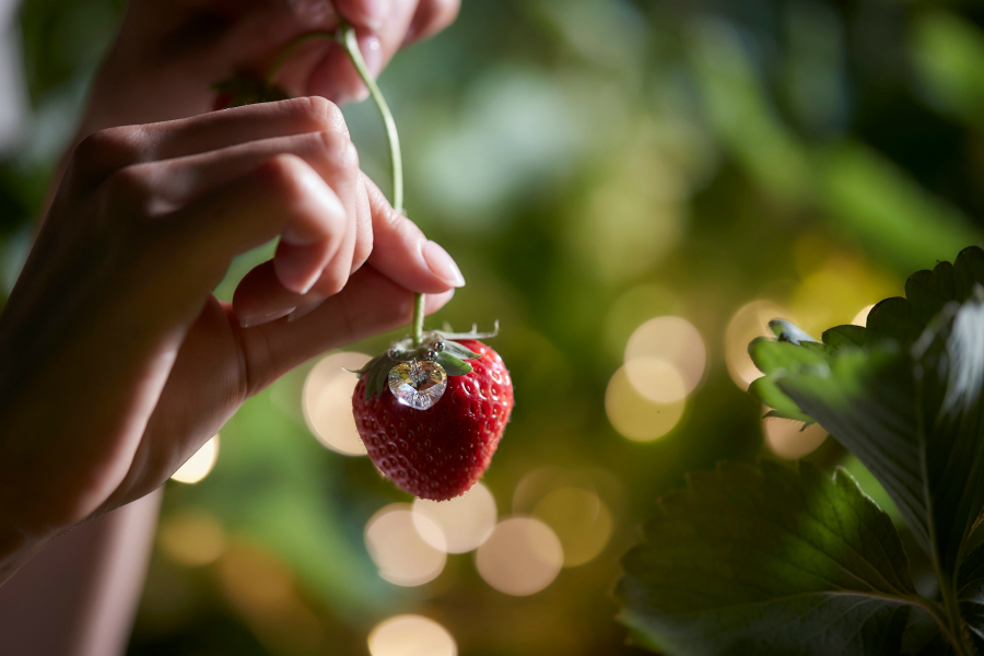 星野リゾート リゾナーレ熱海で2019年も「ナイトストロベリーデート」開催！甘く熟した「愛の一粒イチゴ」を探せ！