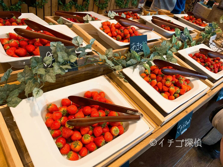 【セントレジスホテル大阪】いちごビュッフェ「ストロベリー・ブティック」10種の生苺が食べ放題！