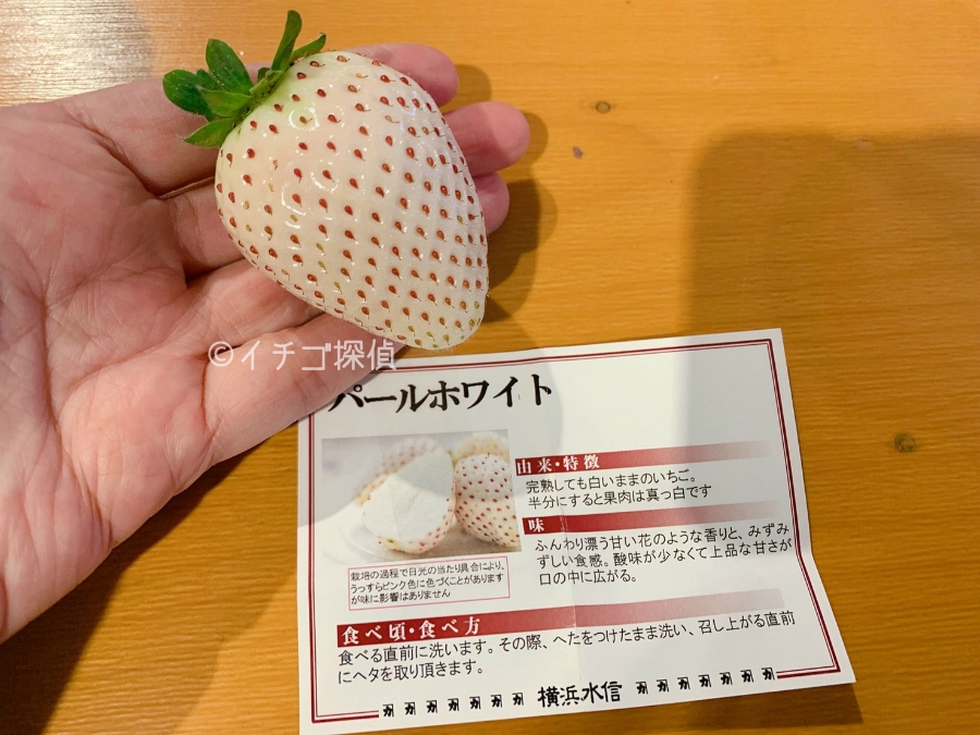 3種の白いちご【シャンパンゴールド】【真珠姫】【パールホワイト】を食べ比べ！横浜ストロベリーフェスティバル