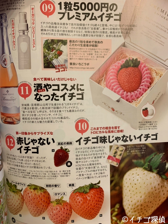 【Safari】4月号「イチゴの知らない世界」