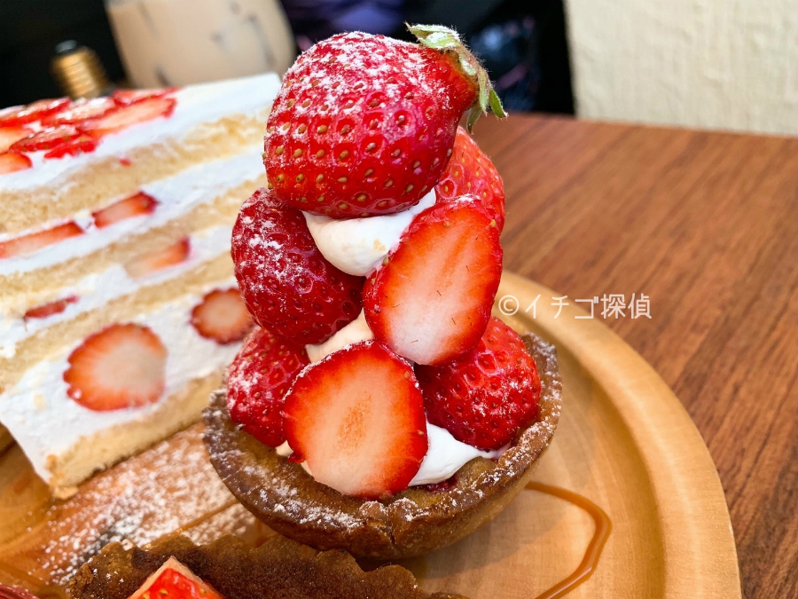【Suger fukushima】大阪福島で大人気のケーキやさんでショートケーキやいちごもりもりタルトを実食！
