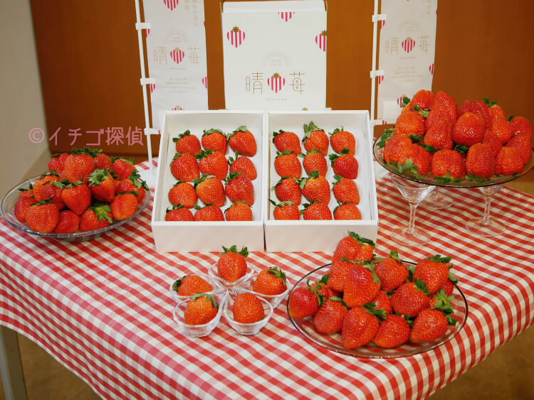 ＼実食／岡山県の新ブランドいちご『晴苺』ラトリエモトゾーやイマノフルーツファクトリーで晴苺スイーツも