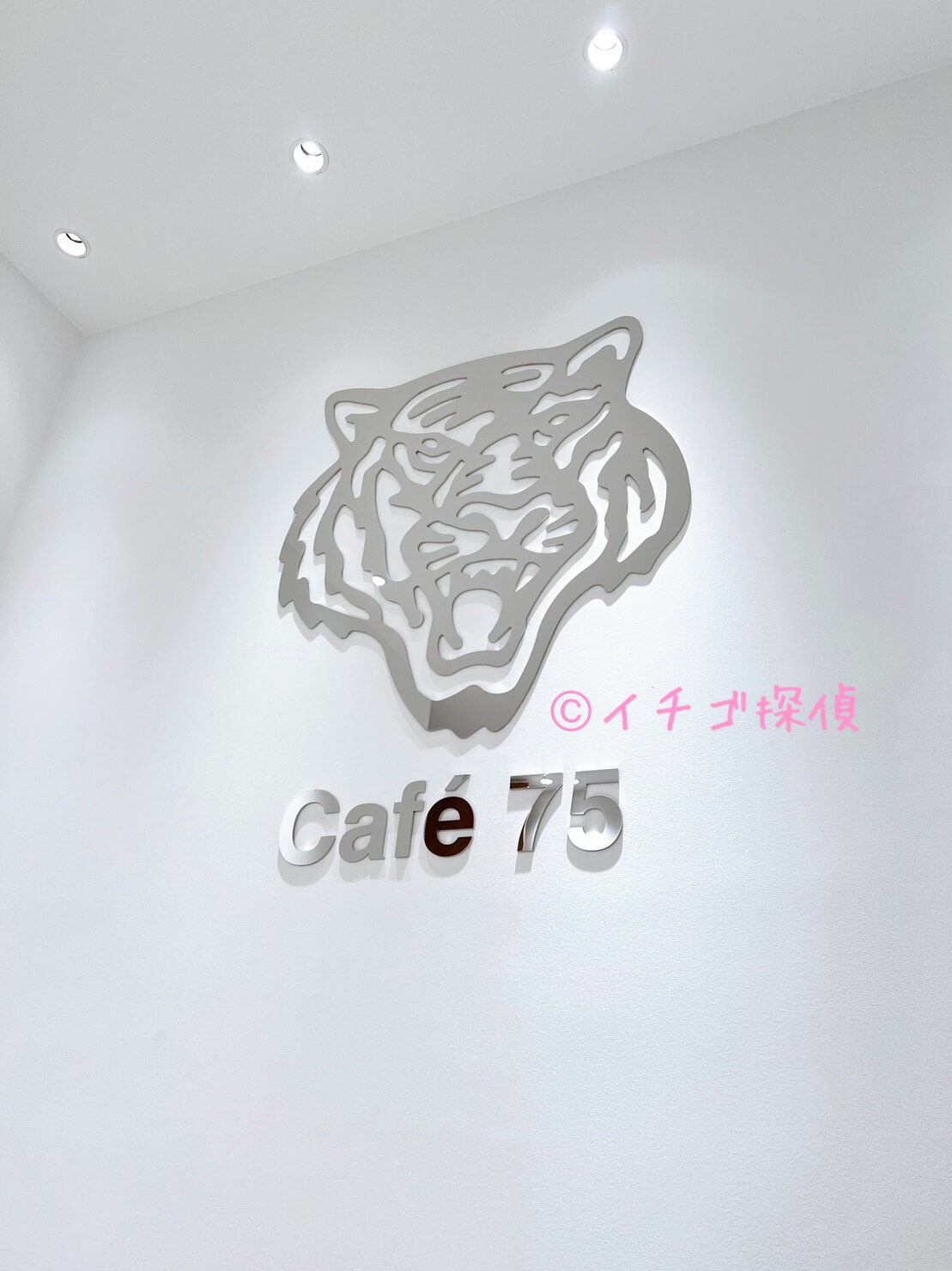 \実食/「TORA CAFÉ 75」でいちごかき氷！奈良の「ほうせき箱」がOnitsuka Tiger 銀座 POP-UP STOREに