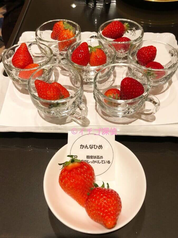 【潜入レポ】横浜ベイホテル東急 ソマーハウスの苺ブッフェ「いちごジャーニー」へ！今年は抽選応募も！