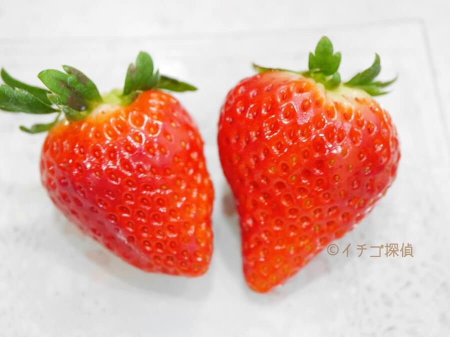 【篠田いちご園】あまクイーン・紅クイーンを食べ比べ！兵庫県生まれの新品種いちご姉妹を堪能！