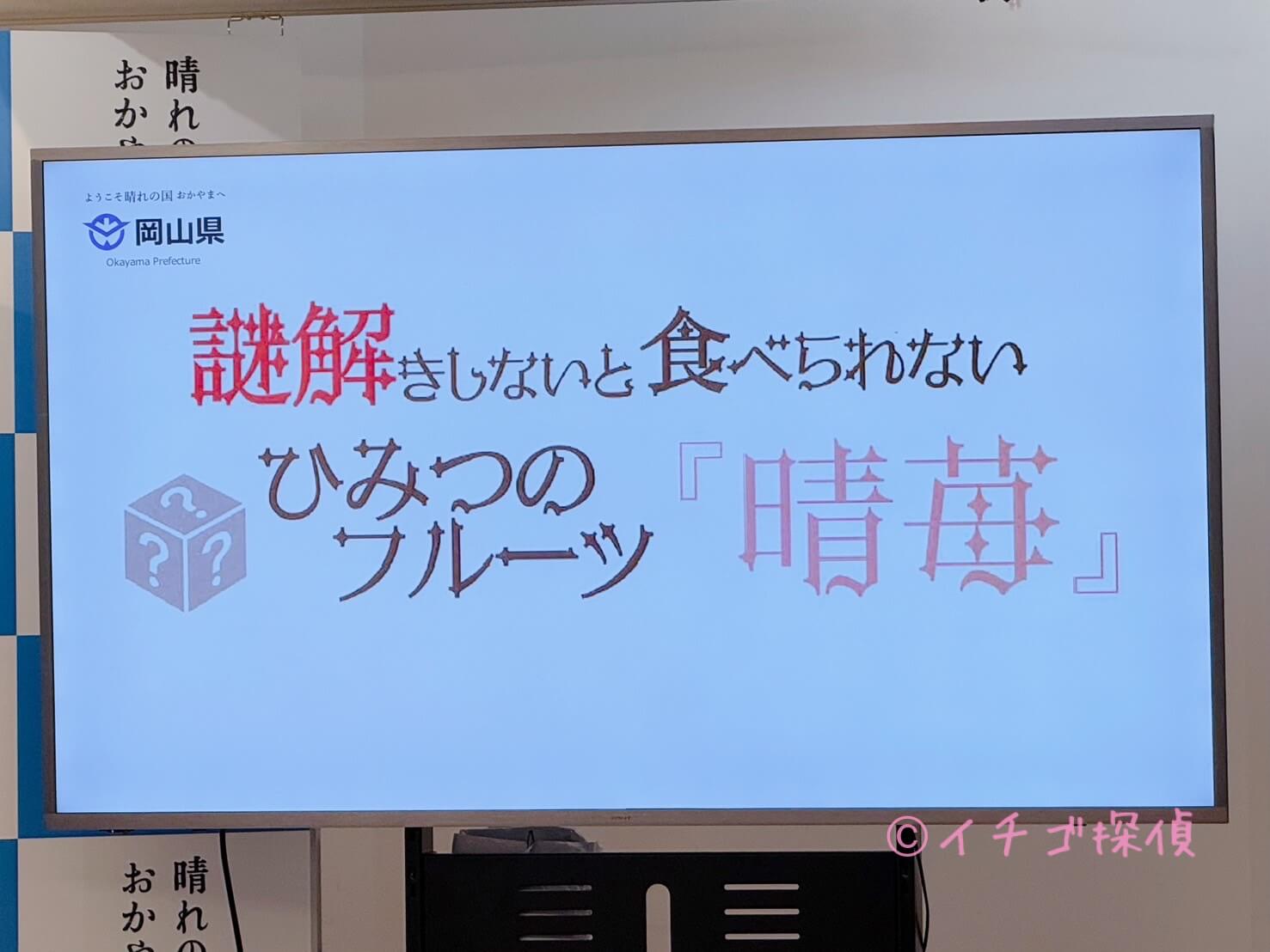 \実食/謎解きしないと食べられない ひみつのフルーツ『晴苺』とっとり・おかやま新橋館でいちご×謎解き！