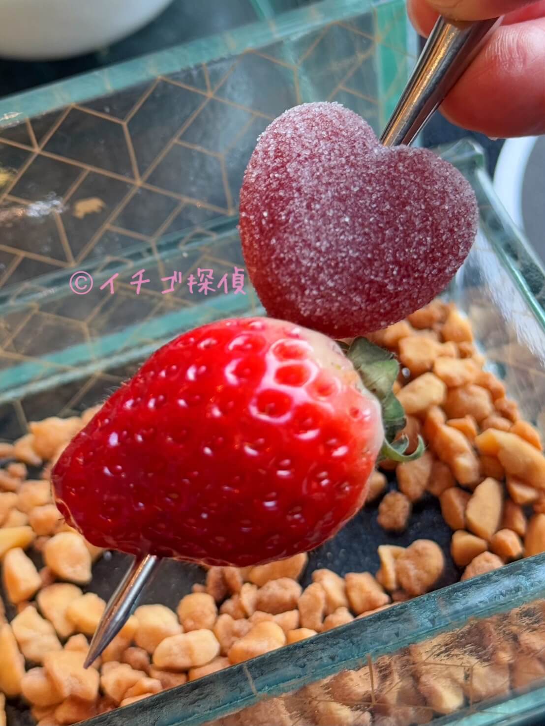 \実食/ヒルトン横浜でアフタヌーンティー「オーケストラ」Bar & Lounge Melodyでいちごアフタヌーンティー